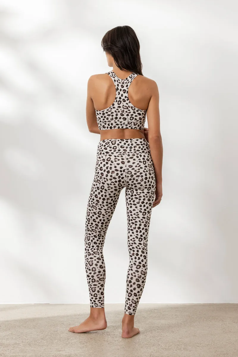 hey-honey-classic-leo-clay-set-sportset-leo image 1